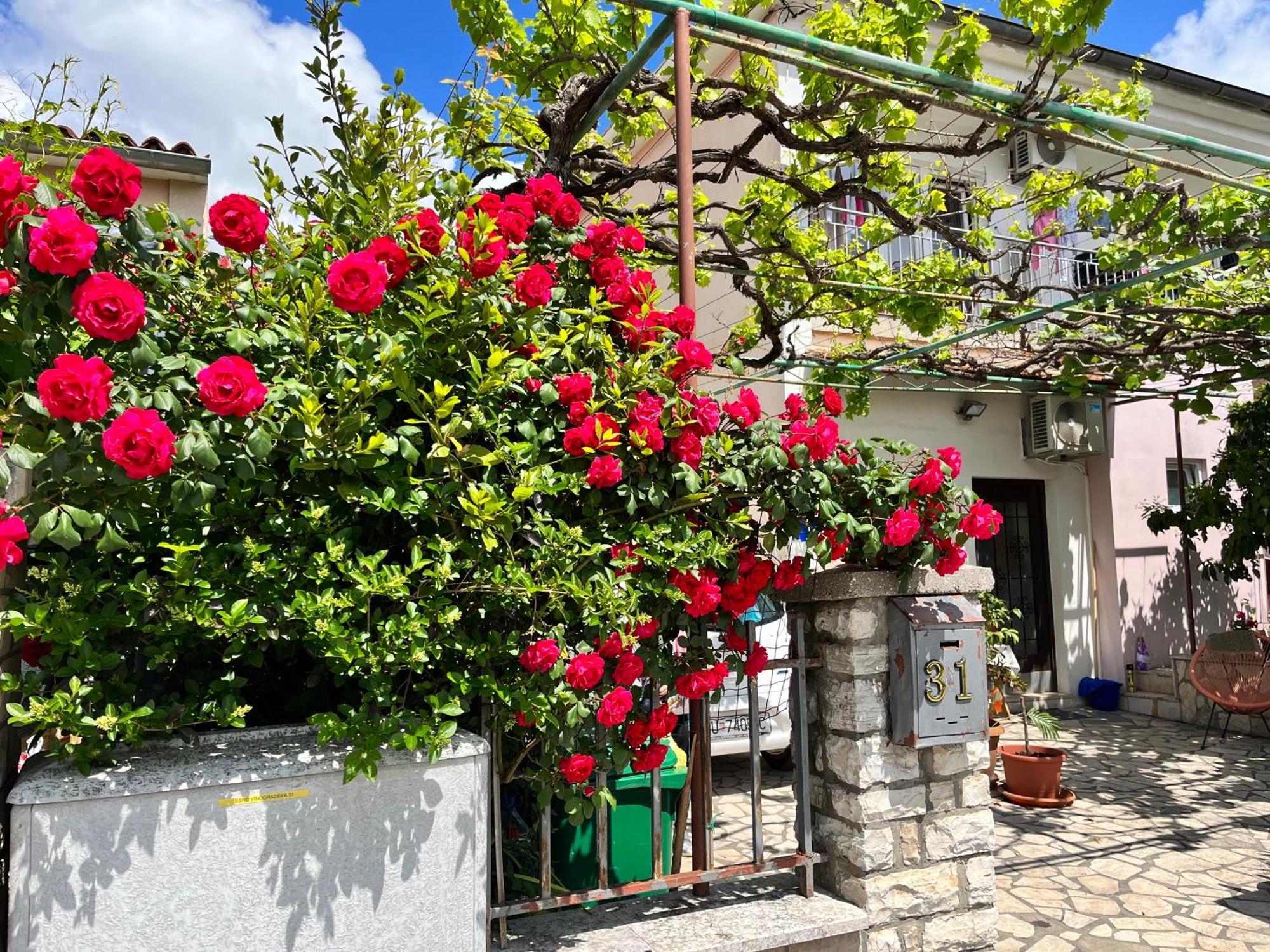 Veronika'S House PUY Exterior foto